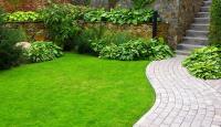 Simple Solutions Landscaping & Snow Removal image 6